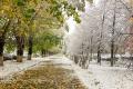 В Україні ударять морози і випаде перший сніг: синоптики назвали дати