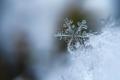 В Україні очікується до +20 та можливий сніг: прогноз на тиждень