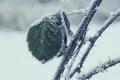 До України на Різдво йдуть морози та сніг: синоптикиня розповіла, коли температура почне падати