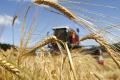 В Минагро рассказали, какой урожай зерновых ожидают в 2018 году