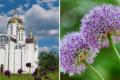 5 серпня: яке церковне свято, чим треба поділитися із сусідами, щоб не хворіти