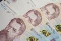 Частка місцевих податків у доходах громад впала до 22-23%: у Раді назвали причини