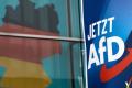 Проросійська AfD оскандалилася в Бундестазі: п’яні помічники депутатів влаштували бійку