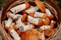 Топ продуктів, які ніколи не можна їсти сирими — запам’ятайте їх