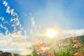 Гороскоп на 3 липня для всіх знаків зодіаку: не поспішайте з висновками