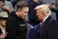 Трамп і Маск помирилися після гучного конфлікту: що відомо