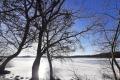 Снег и морозы до -12°: какой будет погода в Украине 10 января – прогноз 