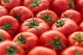 Как выбрать качественные помидоры?