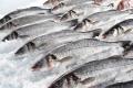 В Україні подорожчала морожена риба