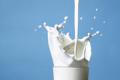 Регулирование закупочных цен на молоко ветировано президентом