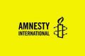 Amnesty International перепросила через свій звіт, однак не відмовилася від скандальних висновків