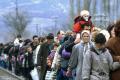ОБСЕ просит украинцев быть толерантными к переселенцам