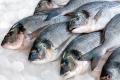 Из-за аннексии Крыма вылов рыбы в Украине сократился в 2,5 раза