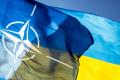 Украина отвечает программе партнерства с НАТО - Минобороны