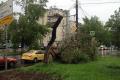 В результате урагана в Московской области погиб украинец