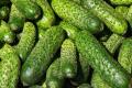 В Україні стрімко здорожчали огірки: експерт пояснив причину