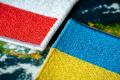 Чи поступиться Україна територіями — результати резонансного опитування в Польщі
