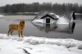 На реках Западной Украины будет рекордное наводнение