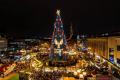 Рождественское чудо: в Дортмунде установили самую высокую новогоднюю елку