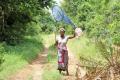 Кенийские женщины спасают популяции экзотических бабочек