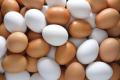 Эксперты сообщили о росте экспорта яиц, солода и грецких орехов