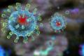 Розвідка США не дійшла остаточних висновків про походження коронавірусу