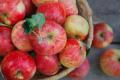 Украина вдвое увеличила экспорт яблок в Индию
