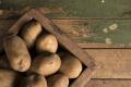 До якого числа треба встигнути посадити картоплю: крайня дата