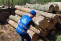 УУБ приділяє постійну увагу виконанню договорів купівлі-продажу необробленої деревини сторонами