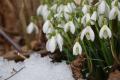 В Украину идет похолодание и снег: прогноз погоды на выходные 12 и 13 февраля