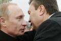 Януковича не будет на инаугурации Путина