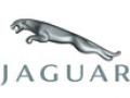 Семейство кошачьих. История автомобильной марки Jaguar