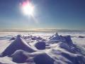 Самую теплую зиму 2020 года объяснили ошибкой Северного полюса