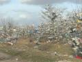 Деревья в пакетах и хламе: как справляются с мусором, который ураган разнес с полигона в Николаевской области