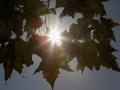 Сонячно і до +18 градусів: прогноз погоди в Україні на 13 жовтня