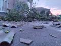 Ураган в Запорожской области поднимал в воздух крыши и вырывал деревья