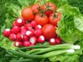 В Украине наблюдается снижение стоимости ранних овощей