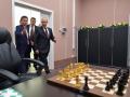 Гибридные шахматы, или Санкции против ферзя