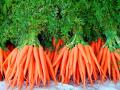 Что приготовить из моркови: 4 обалденных рецепта