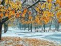 Синоптики прогнозируют в Украине снег: когда и где ждать