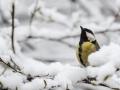 В Украину возвращаются морозы и снег: где и когда изменится погода