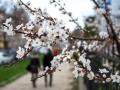 Вместо тепла – снег и сильный ветер: синоптики уточнили погоду в Украине до конца марта