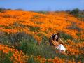Природная аномалия в Калифорнии: горы укрыл ковер из цветов