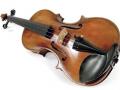 Украденная скрипка Страдивари нашлась в Болгарии