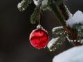 Дожди со снегом и температурные качели: синоптики спрогнозировали погоду до Рождества