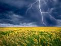 Дощі та тепло. Синоптикиня прогнозує літню погоду в Україні у п’ятницю, 3 червня