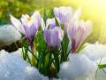 Синоптики рассказали, какой погодой встретит весна