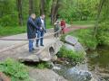 В парковом водоеме в Черновцах погибла рыба: стала известна причина