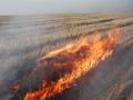 Из-за жары и засухи в Украине вспыхивают пожары на пшеничных полях 