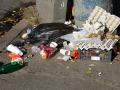 В Киеве могут увеличить штрафы за мусор мимо урны